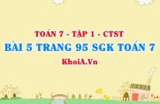 Bài 5 trang 95 SGK Toán 7 tập 1 Chân trời sáng tạo